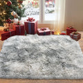 Pionblank Fluffy Small Rug for Bedroom 2x3 Feet, Shag Soft Area Rug, Modern Plush Carpet, Furry Cute Bedside Rug for Kids Girls Boys Room Nursery Decor, Tie Dye Grey