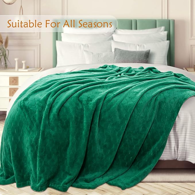 TOONOW Fleece Blanket Textured Fuzzy Plush Throw Blanket Twin Size 60" x 80", Super Soft Fluffy Bed Blanket Geometric Pattern Comfy Microfiber Flannel Blankets for Couch, Bed, Sofa, Emerald