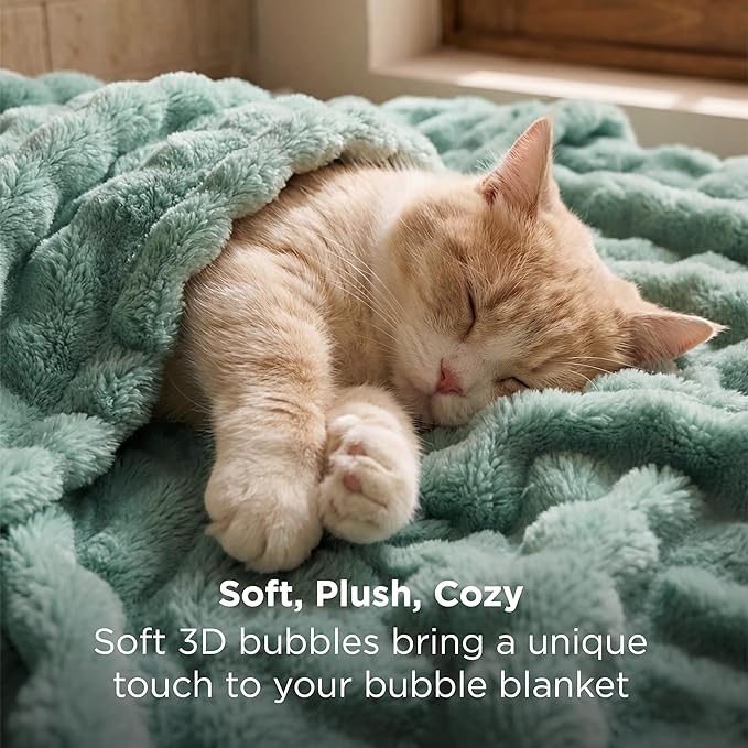 Bedsure 3D Fleece Bubble Blanket - GentleSoft Green Queen Blanket for Bed Sofa Room Decor - Luxury Soft Cozy Gifts for Kids, Lightweight, All Seasons, Sage Green, 90"×90"