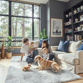 Super Soft Shaggy Area Rugs for Bedroom 4x6 Feet, Shaggy Plush Living Room Shag Furry Floor Rugs, Non-Shedding Indoor Rugs for Living Room Decor(4 x 6, Light Grey Tie-Dyed)