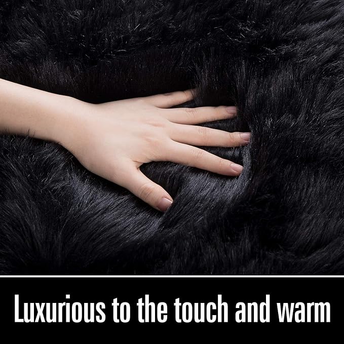 LOCHAS Soft Fluffy Faux Fur Rugs for Bedroom Bedside Rug 3x5 Feet, Washable, Furry Sheepskin Area Rug for Living Room Girls Room, Luxury Shag Carpet Home Decor, Black