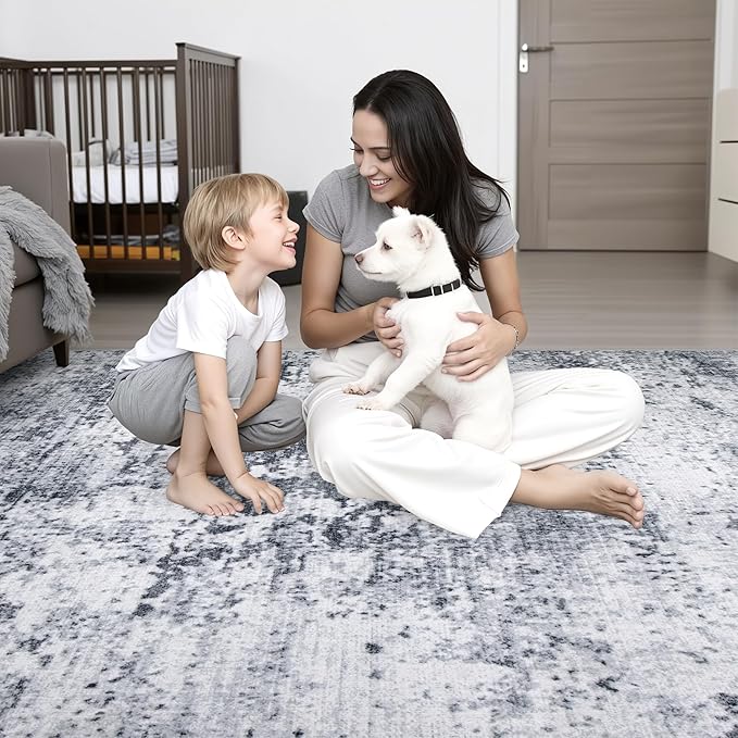 4x6 Area Rug Living Room Rug: Washable Modern Abstract Soft Thin Rug Indoor Floor No Slip Stain Resistant Carpet for Bedroom Dining Room Farmhouse Nursery Home Office - Grey