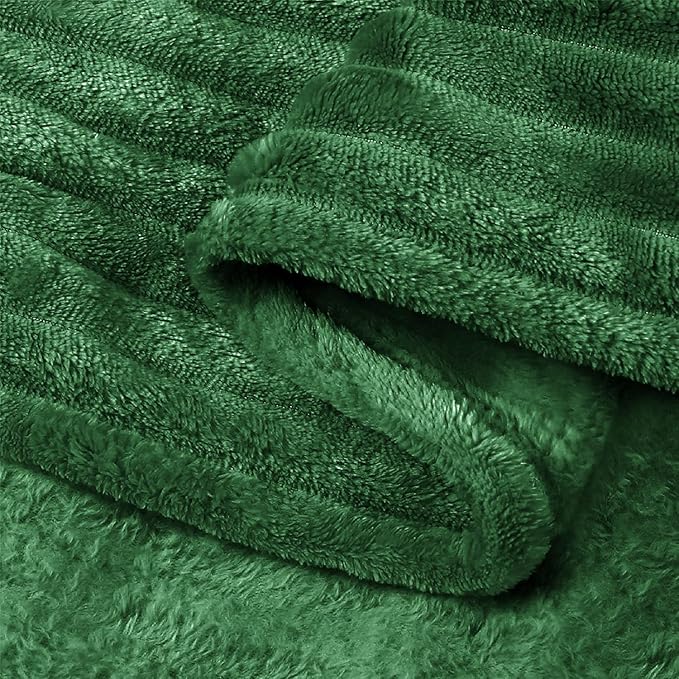 BEDELITE Fleece Throw Blanket for Couch – 3D Ribbed Jacquard Soft and Warm Decorative Fuzzy Blanket – Cozy, Fluffy, Plush Lightweight Green Throw Blankets for Bed, Sofa, 50x60 inches