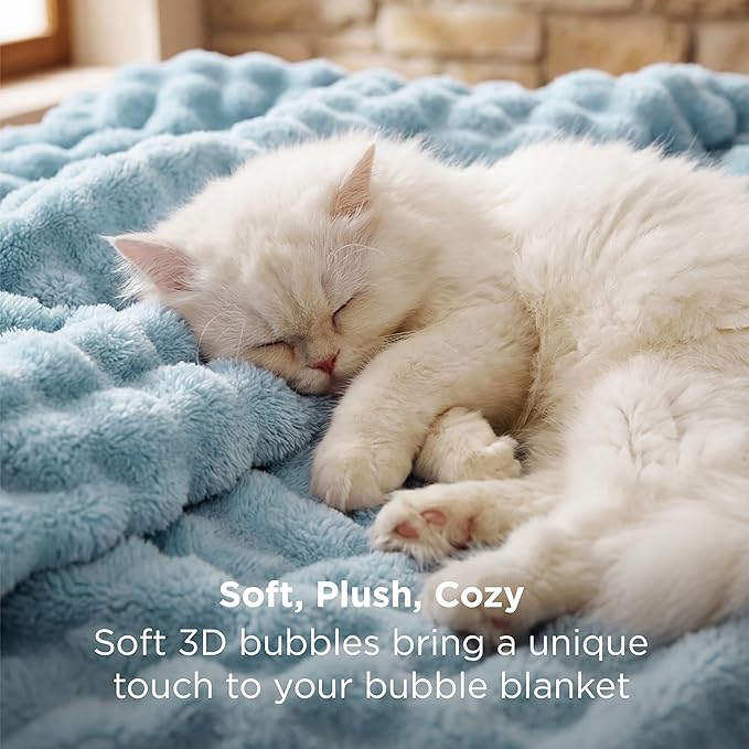 Bedsure 3D Fleece Bubble Blanket - GentleSoft Blue Queen Blanket for Bed Sofa Room Decor - Luxury Soft Cozy Gifts for Kids Girls, Lightweight, All Seasons, Light Blue, 90"×90"