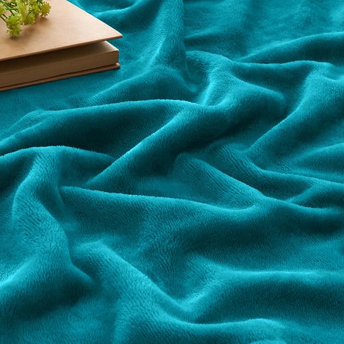 BEDELITE Fleece Blanket Twin Size Bluebird Throw Blankets for Couch & Bed, 300GSM Luxury Plush Cozy Fuzzy Blanket 60x80 inches, Super Soft Warm Lightweight Throw Blanket for Travel Camping