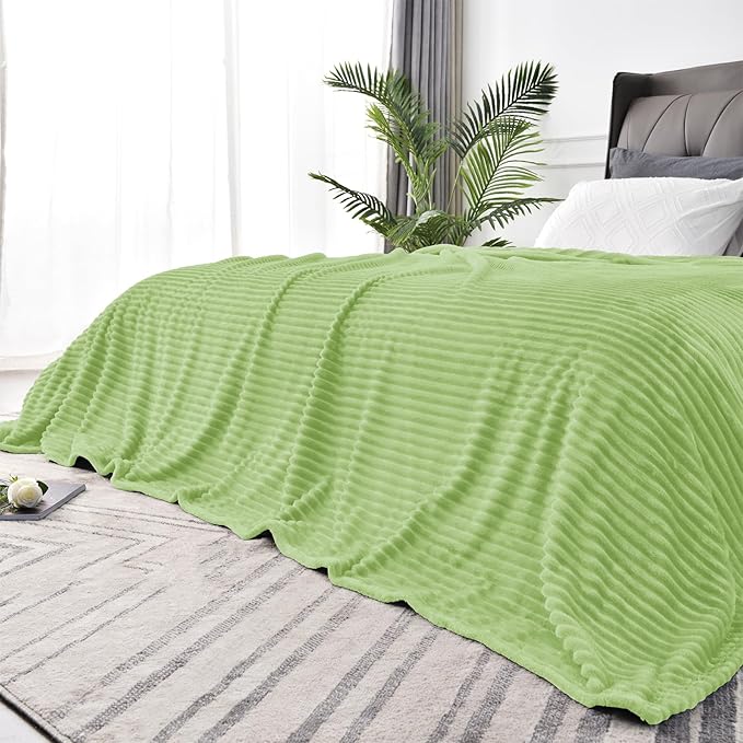 BEDELITE Fleece Blanket Queen Size – 3D Ribbed Jacquard Soft and Warm Decorative Fuzzy Blankets – Cozy, Fluffy, Plush Lightweight Throw Blankets for Couch, Bed, Sofa(Sage Green, 90x90 inches)