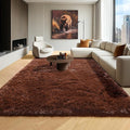 ONASAR Brown 6x9 Area Rugs for Living Room Bedroom, Large Fluffy Bedside Throw Rug, Soft Plush Shaggy Fuzzy Floor Carpet for Nursery Kids Girls Boys Teen Dorm Home Office Decor Aesthetic