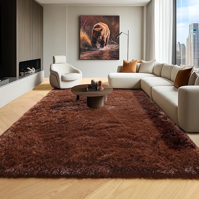 ONASAR Brown 6x9 Area Rugs for Living Room Bedroom, Large Fluffy Bedside Throw Rug, Soft Plush Shaggy Fuzzy Floor Carpet for Nursery Kids Girls Boys Teen Dorm Home Office Decor Aesthetic