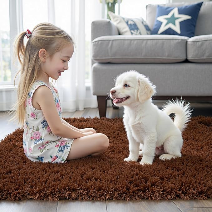 8x10 Area Rugs for Living Room Bedroom, Large Area Rug Shaggy Carpet Soft Plush Furry Bedside Rug, Rugs for Home Decor (Coffee, 8 x 10)
