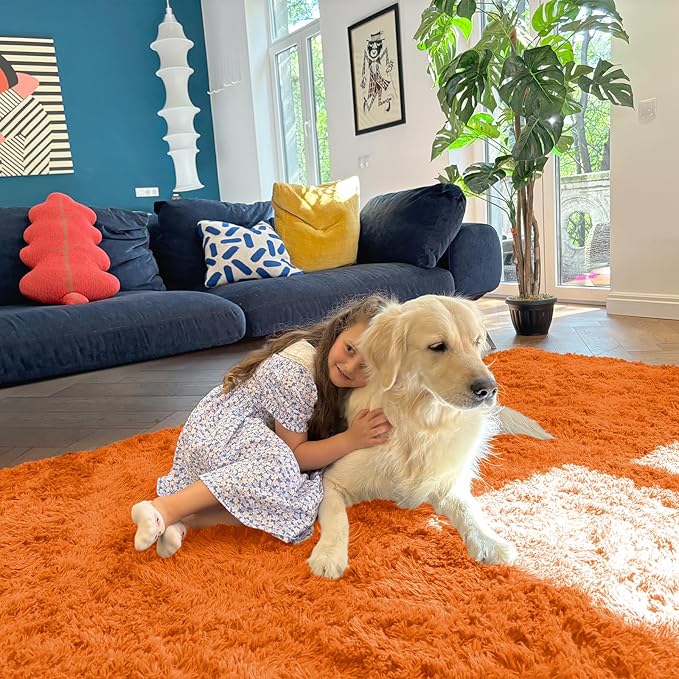 OLANLY 5x8 Machine Washable Large Area Rugs for Living Room, Bedroom, Soft Fluffy Shaggy Bedside Rug, Indoor Floor Carpet for Kids Girls and Boys, Dorms, Nursery, Home Decor Aesthetic, Orange