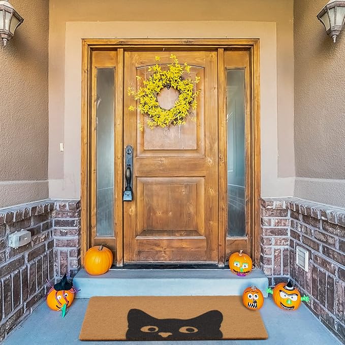 UINI Door Mat Outdoor Indoor Welcome Mats, Cute Cat Front Doormat, Non Slip Durable Entrance Rugs for Front Door, Inside Outside Entry, Porch, Resist Dirt, 17" x 30", Easy to Clean
