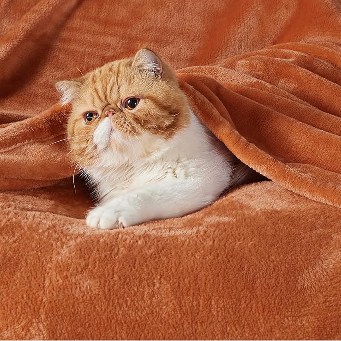 Bedsure GentleSoft Burnt Orange Fleece Throw Blanket - 300GSM Soft Lightweight Plush Cozy Blankets for Bed, Sofa, Couch, Travel, Camping
