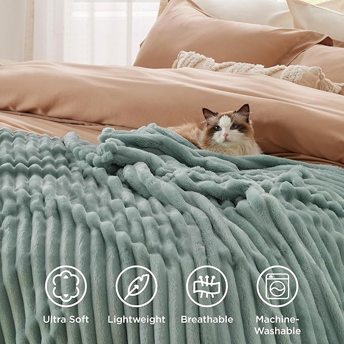 Bedsure GentleSoft Twin Blanket for Couch - Cozy Soft Blankets for Women, Cute Small Fleece Throws for Girls, Sage Green, 60x80 Inches