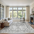zesthome 6x9 Area Rug, Super Soft Washable Rugs for Living Room, Non-Slip Stain Resistant Vintage Rugs, Ultra-Thin Large Area Rugs (Grey/White,6'x9')
