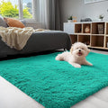 OLANLY 3x5 Machine Washable Small Bedside Rug, Soft Fluffy Shaggy Rugs for Living Room, Bedroom, Indoor Floor Carpet for Kids Girls and Boys, Preppy Dorms, Nursery, Home Decor Aesthetic, Teal Green