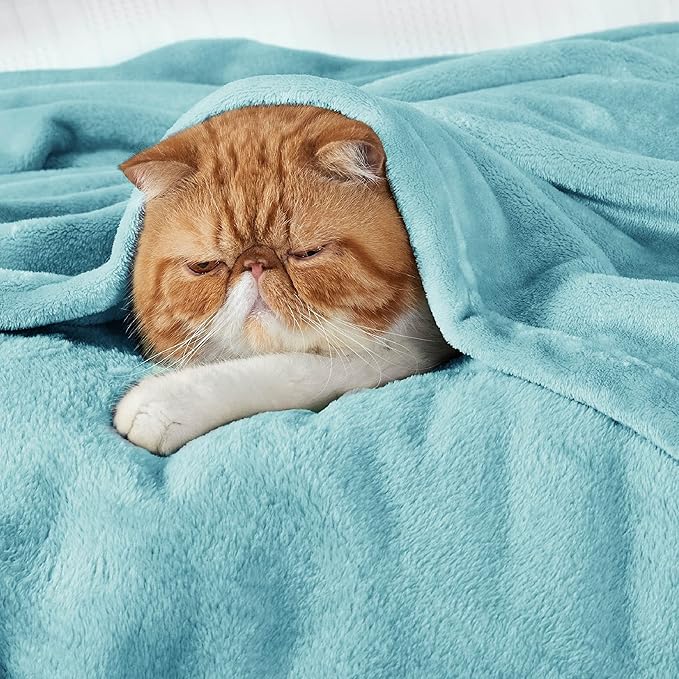 Bedsure GentleSoft Fleece King Size Blankets for Bed River Blue - Soft Lightweight Plush Cozy Fuzzy Luxury Microfiber, 108x90 inches