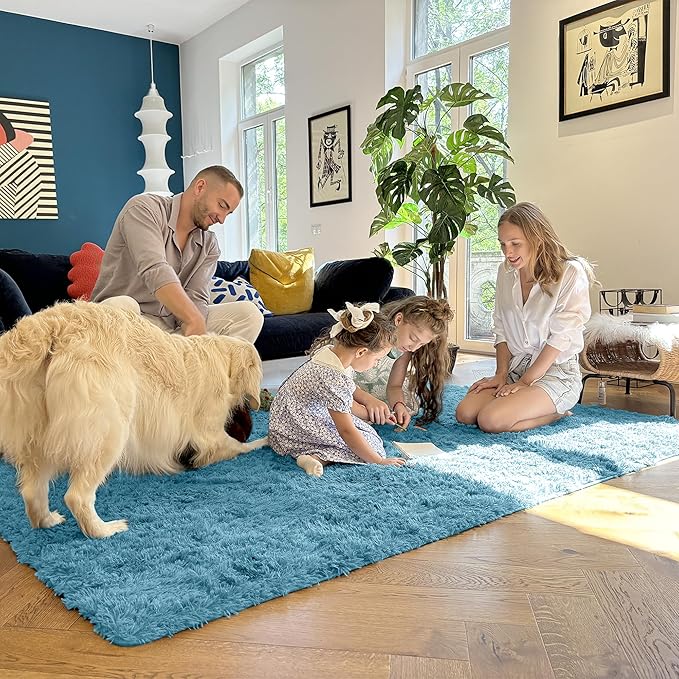 OLANLY Area Rugs for Living Room Bedroom, Machine Washable 4x5.9 ft Soft Fluffy Shaggy Bedside Rug, Indoor Floor Carpet for Kids Girls and Boys, Dorms, Nursery Rooms, Home Decor Aesthetic, Slate Blue