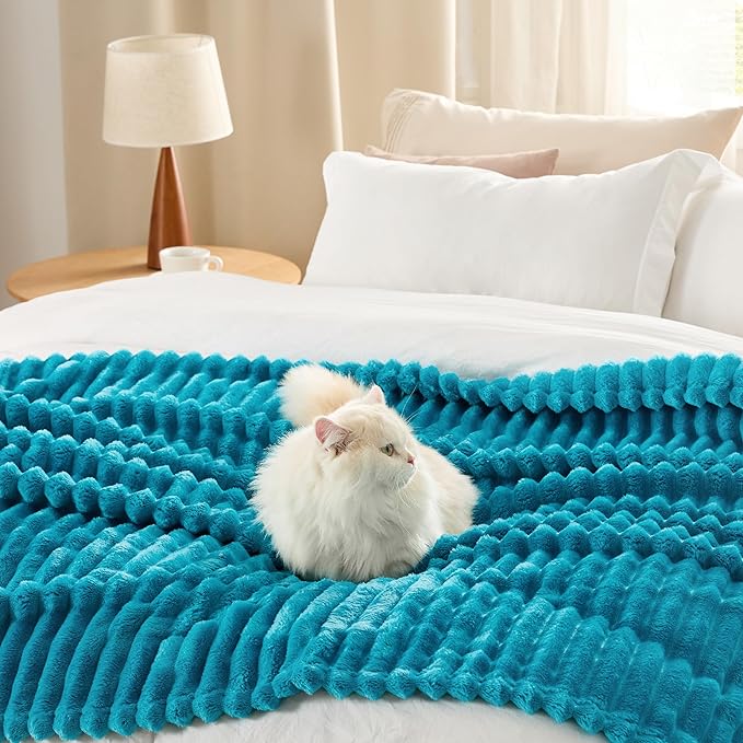 Bedsure GentleSoft Teal Fleece Blanket for Couch - Cozy Soft Blankets for Women, Cute Small Throws for Girls, 50x60 Inches