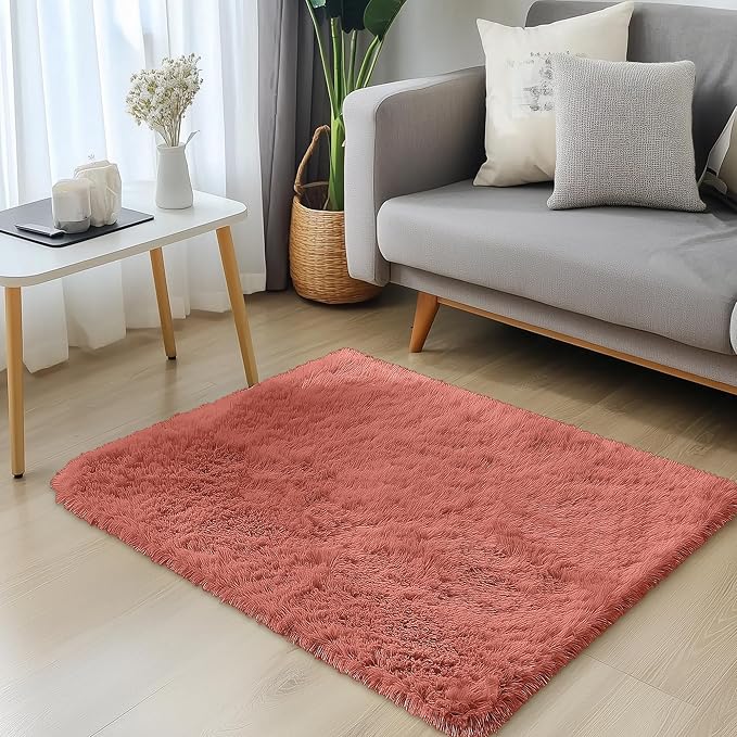 OLANLY 2x3 Machine Washable Small Bedside Rug, Soft Fluffy Shaggy Entryway Throw Rugs for Bedroom, Living Room, Indoor Floor Carpet for Kids Girls and Boys, Home Decor Aesthetic, Rust Red