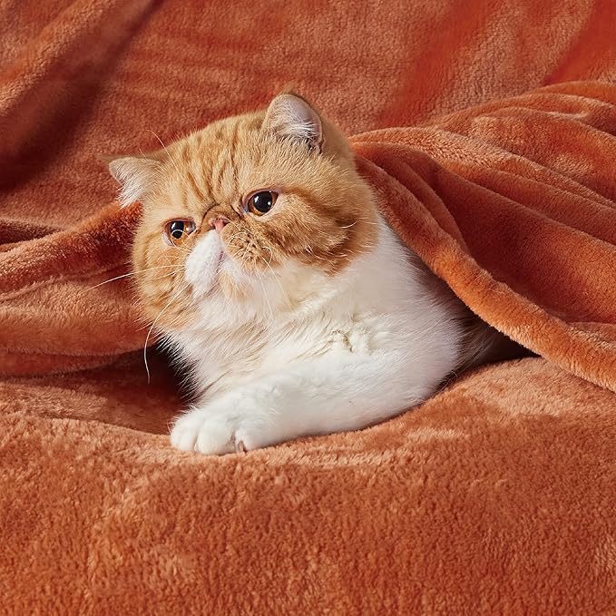 Bedsure GentleSoft Twin XL Fleece Blanket Dorm Bedding - Lightweight Soft Cozy Blankets for Bed, Sofa, Couch, Travel, Camping, Dark Orange, 66"x90"