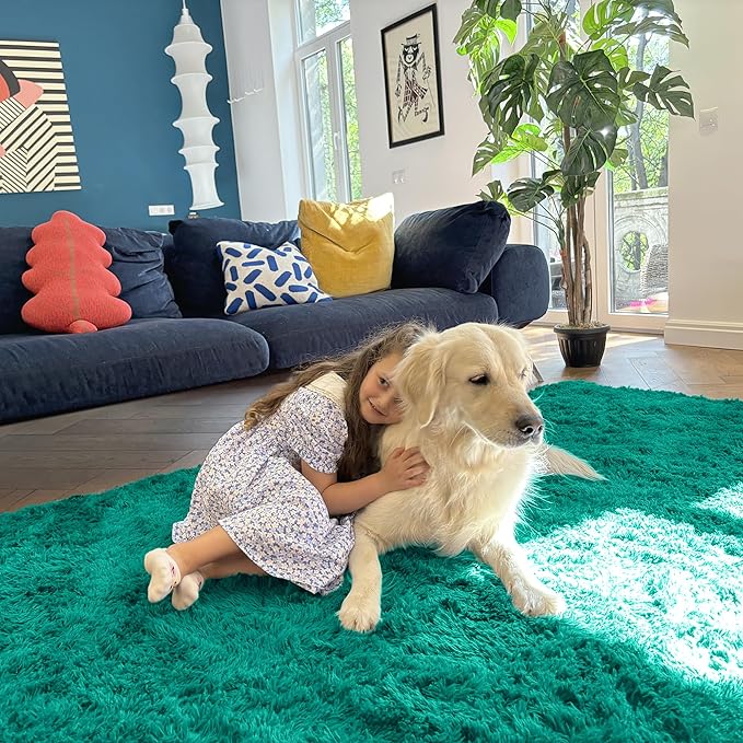 OLANLY 8x10 Machine Washable Large Area Rugs for Living Room, Bedroom, Soft Fluffy Shaggy Bedside Rug, Indoor Floor Carpet for Kids Girls and Boys, Dorms, Nursery, Home Decor Aesthetic, Teal Green