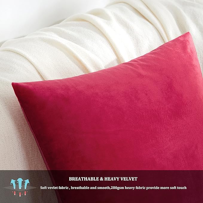 GIGIZAZA Red Velvet Decorative Throw Pillow Covers for Sofa Bed 2 Pack Soft Cushion Cover 20x20