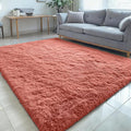 OLANLY 5x7 Machine Washable Large Area Rugs for Living Room, Bedroom, Soft Fluffy Shaggy Bedside Rug, Indoor Floor Carpet for Kids Girls and Boys, Dorms, Nursery, Home Decor Aesthetic, Rust Red