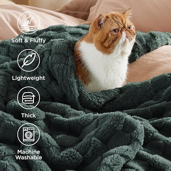 Bedsure GentleSoft Blankets Queen Size for Bed - Super Soft Cozy Spring Blanket for Kids Girls, Large Fuzzy Fleece Throw for Bedroom Decor, Dark Green, 90x90 Inches