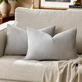 Silver Grey Velvet Decorative Throw Pillow Covers for Sofa Bed 2 Pack Soft Cushion Cover