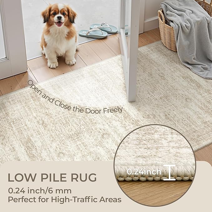 6x9 Rug for Living Room,Soft Low Pile Indoor Washable Rugs for Bedroom, Non-Slip Backing Vintage Large Area Rug, Printed Abstract Carpet(6'x9', Beige/Ivory)