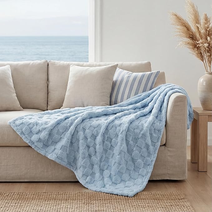 Bedsure GentleSoft Twin Blanket for Bed Light Blue - Super Soft Cozy Blankets for Kids Girls, Cute Fuzzy Fleece Throws for Bedroom Couch, 60x80 Inches