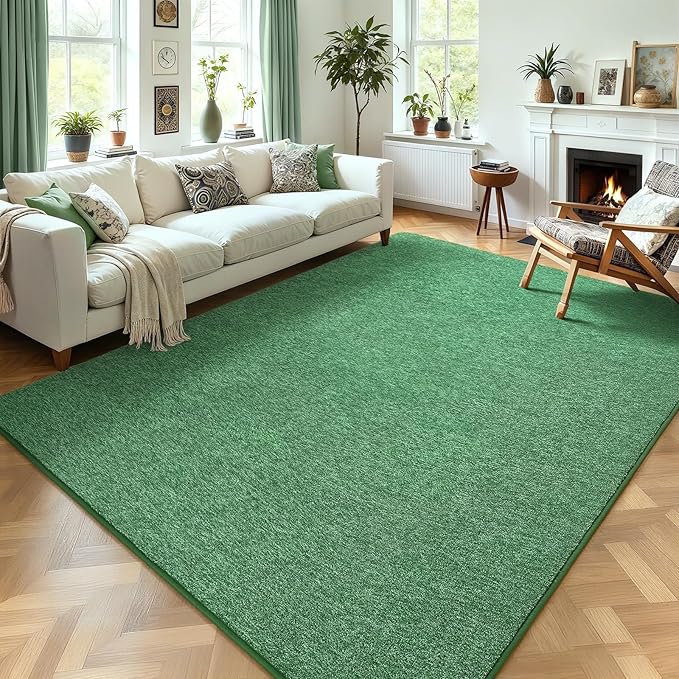 AROGAN Washable 5×7 Living Room Rug, Modern Area Rugs with Soft Memory Foam for Bedroom, Minimalist Non-Slip Indoor Floor Carpet for Dining Room Office Kids Playroom Decor, Sage Green