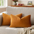 GIGIZAZA Cinnamon Orange Velvet Decorative Throw Pillow Covers for Sofa Bed 2 Pack Soft Cushion Cover