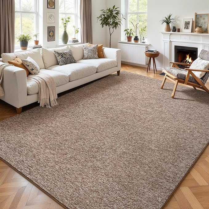 AROGAN Washable 4×6 Bedroom Rug, Modern Area Rugs with Soft Memory Foam for Living Room, Minimalist Non-Slip Indoor Floor Carpet for Dining Room Office Kids Playroom Decor, Matte Brown
