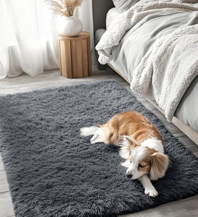 OLANLY 4x5 Machine Washable Accent Rug, Soft Fluffy Shaggy Area Rug for Bedroom, Living Room, Indoor Floor Carpet for Kids, Nursery, Home Decor, Grey