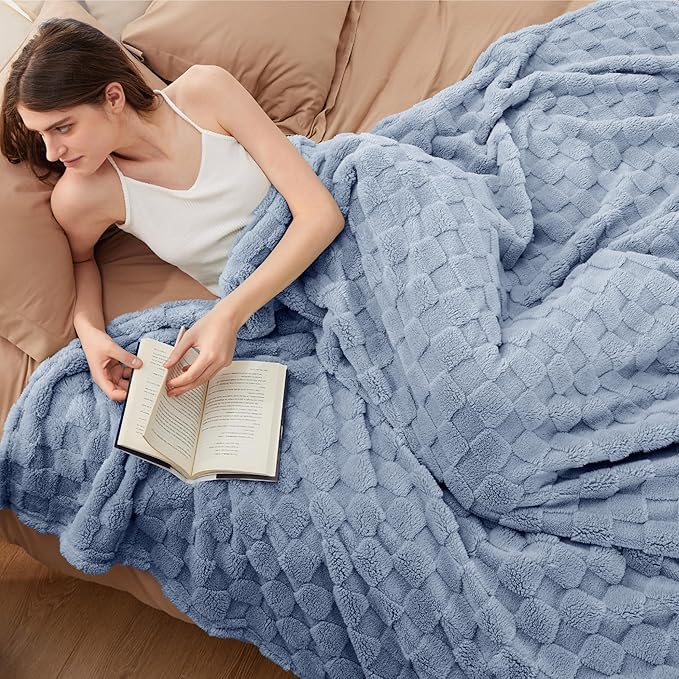 Bedsure GentleSoft Full Size Blankets for Bed Ashley Blue - Super Soft Cozy Fleece Blanket for Kids Girls, Large Fuzzy Throws for Bedroom Decor, 84x90 Inches