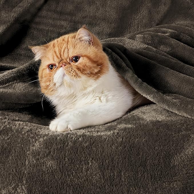Bedsure GentleSoft Fleece Blanket Twin Size Brown - 300GSM Lightweight Plush Fuzzy Cozy Soft Warm Blanket for Bed, Sofa, Couch, Travel, Camping, 60x80 inches
