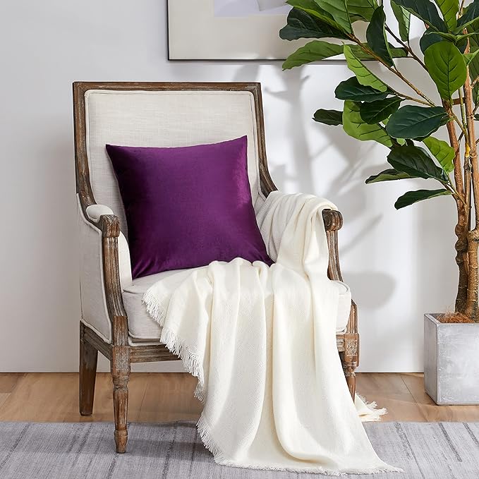 GIGIZAZA Decor Throw Couch Pillow Covers,Set of 2 Sofa Cushion Purple Pillow Covers,Velvet Pillow Cases 24 x 24inch