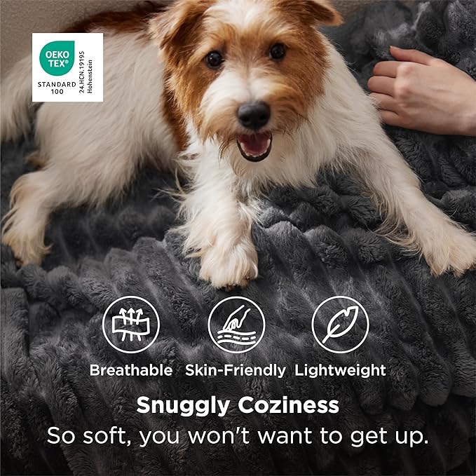 Bedsure Grey Fleece Throw Blanket for Couch - Super Soft Cozy Blankets for Women, Cute Small Throws for Girls, 50x60 Inches