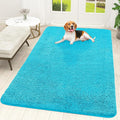 OLANLY Dog Door Mat for Muddy Paws 70x46, Absorbs Moisture and Dirt, Absorbent Non-Slip Washable Doormat, Quick Dry Chenille Mud Mat for Dogs, Entry Indoor Entryway Carpet for Inside Floor, Aqua Blue