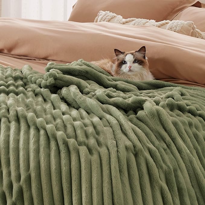 Bedsure GentleSoft Moss Fleece Queen Blanket for Couch - Cozy Soft Blankets for Women, Cute Small Throws for Girls, 90x90 Inches