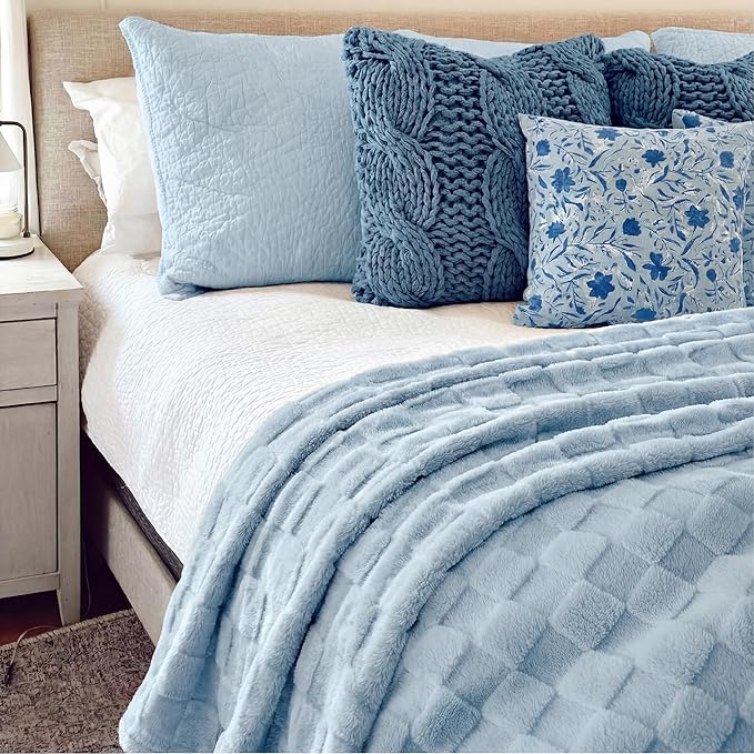 Bedsure GentleSoft Twin Blanket for Bed Light Blue - Super Soft Cozy Blankets for Kids Girls, Cute Fuzzy Fleece Throws for Bedroom Couch, 60x80 Inches
