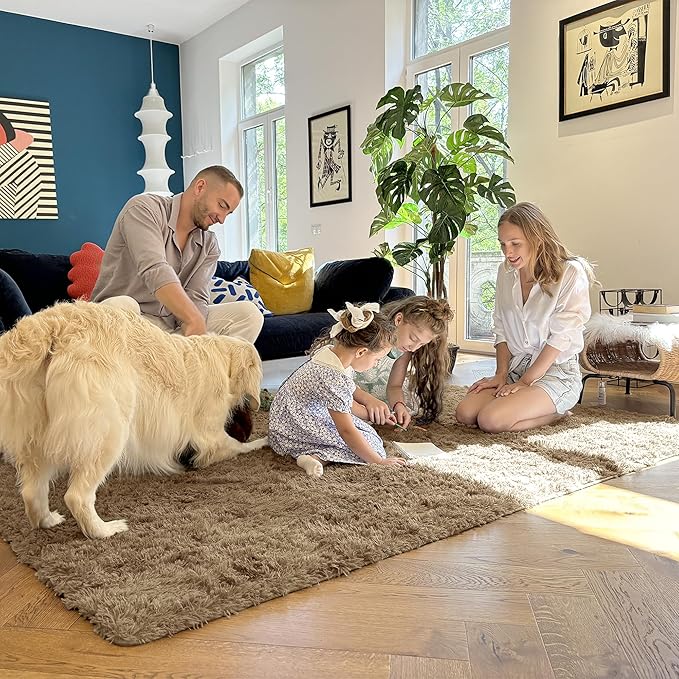 OLANLY Area Rugs for Living Room Bedroom, Machine Washable 4x5.9 ft Soft Fluffy Shaggy Bedside Rug, Indoor Floor Carpet for Kids Girls and Boys, Dorms, Nursery Rooms, Home Decor Aesthetic, Taupe