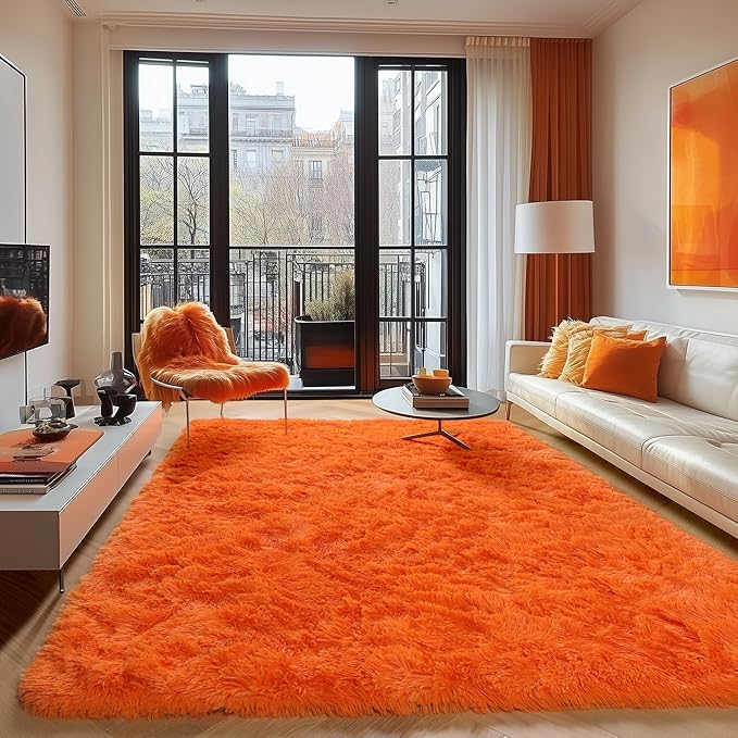 ONASAR Orange Area Rugs for Bedroom Living Room, Fluffy 4x6 Indoor Bedside Floor Throw Rug, Soft Plush Shaggy Carpet for Nursery Kids Girls Boys Teen Dorm Home Office Decor Aesthetic